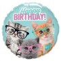 18-inch-es-birthday-kittens-with-eyeglasses-szulinapi-folia-lufi-q19286