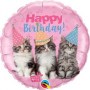 18-inch-es-studio-pets-birthday-kittens-szulinapi-folia-lufi-q57623