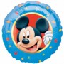 18_Mickey_eg__rr_512e19875a4ca
